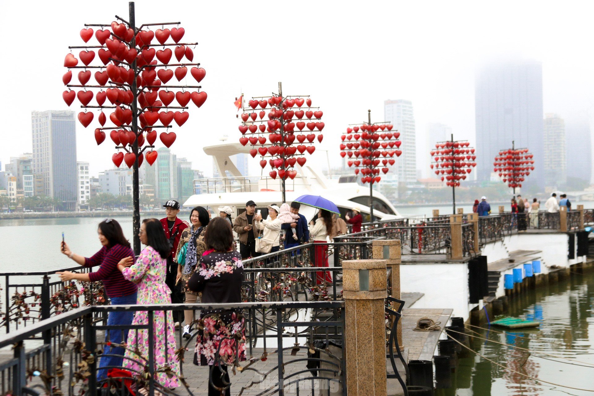 Love locks on a special bridge in Da Nang on Valentine's Day photo 1