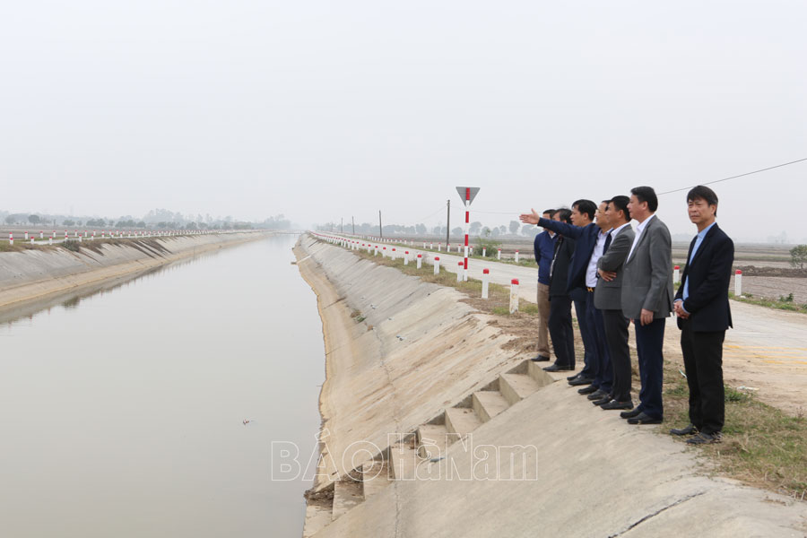 Vice Chairman of the Provincial People's Committee Nguyen Duc Vuong inspected spring crop production.