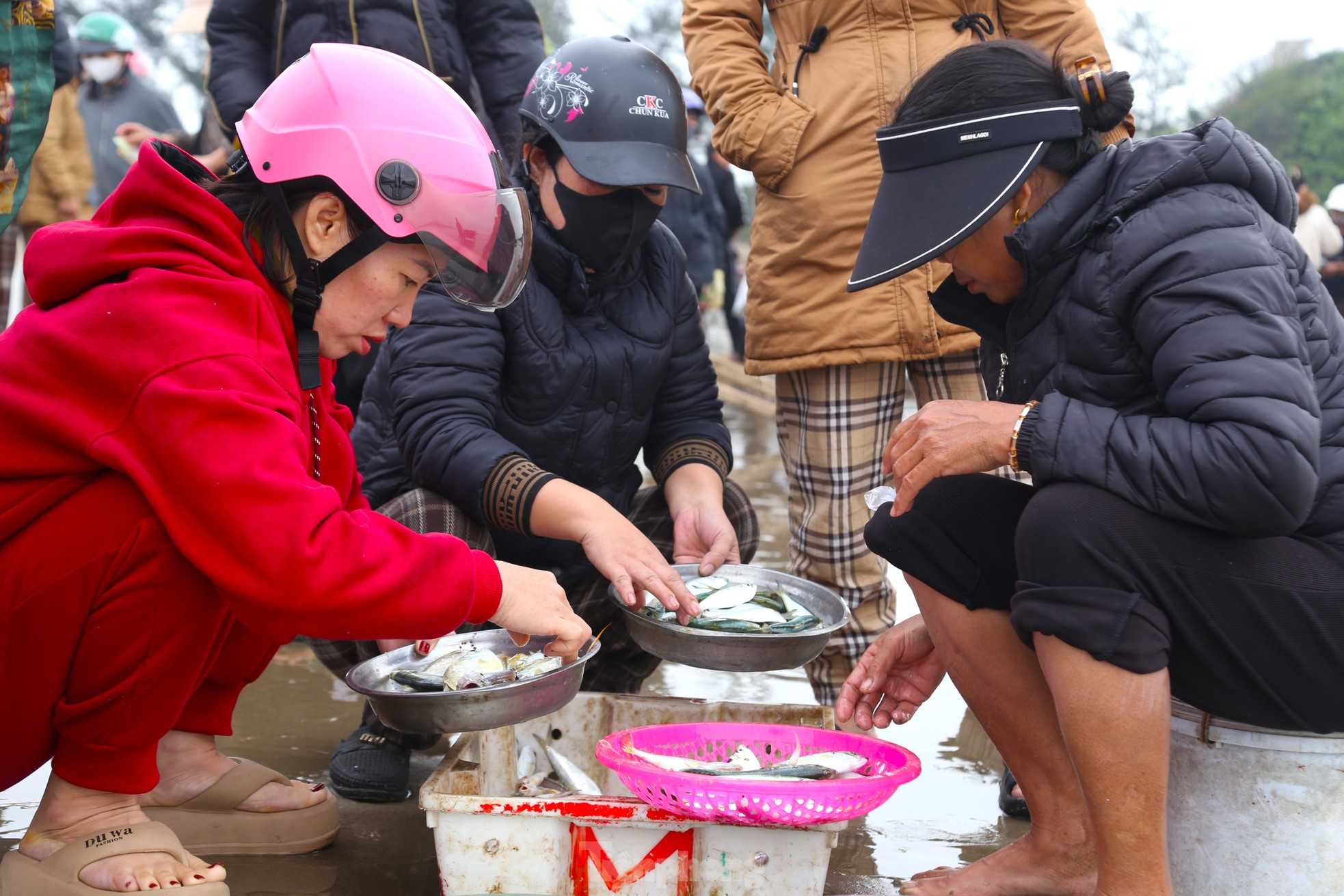 ទិដ្ឋភាព​ការ​ជួញ​ដូរ​គ្រឿង​សមុទ្រ​ដ៏​អ៊ូអរ​នៅ​ឆ្នេរ​សមុទ្រ​ពេល​ព្រលឹម​រូបថត ៧