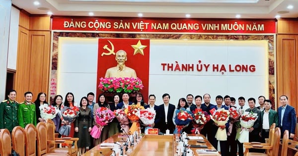 A series of commune-level leaders in Ha Long City have applied for early retirement.