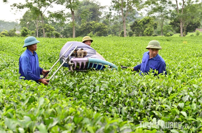 Tuyen Quang ផ្តោតលើការលើកកម្ពស់សេដ្ឋកិច្ចឌីជីថលក្នុងឧស្សាហកម្មសំខាន់ៗចំនួន 5