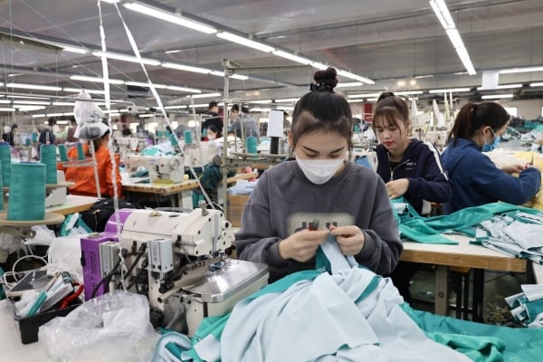 Oportunidades para que la industria textil participe en la cadena productiva global