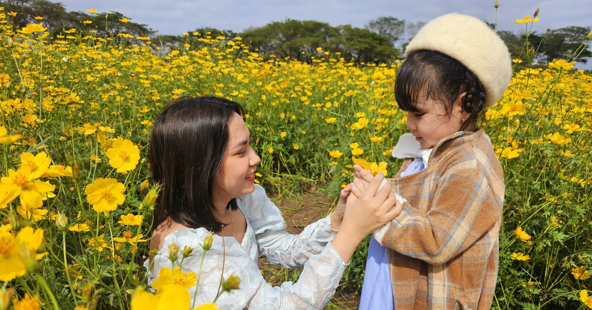 グエン・トゥック・トゥイ・ティエンさんと観光客がフーイエンにある2つの美しい蝶の花園にチェックイン