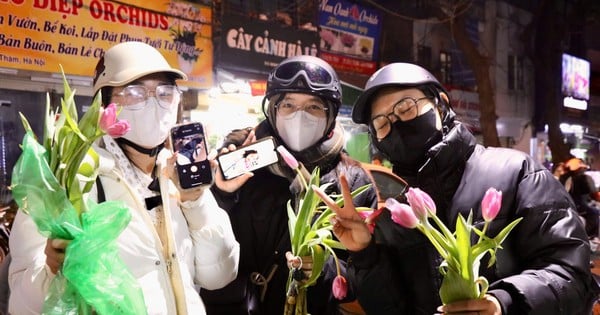 Junge Leute lieben den Tulpenanbau, Kleinhändler verdienen täglich zig Millionen