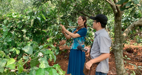 Kinh tế nông nghiệp, nông thôn Đắk Nông tăng tốc, chỉ số nghèo đi xuống, chỉ số hạnh phúc đi lên