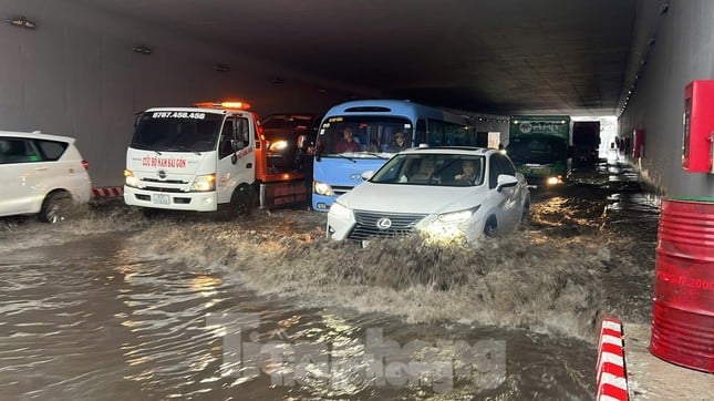 ホーチミン市24時間年中無休：運転免許証の変更が急務。能力が限られている幹部の辞職を促す 写真2