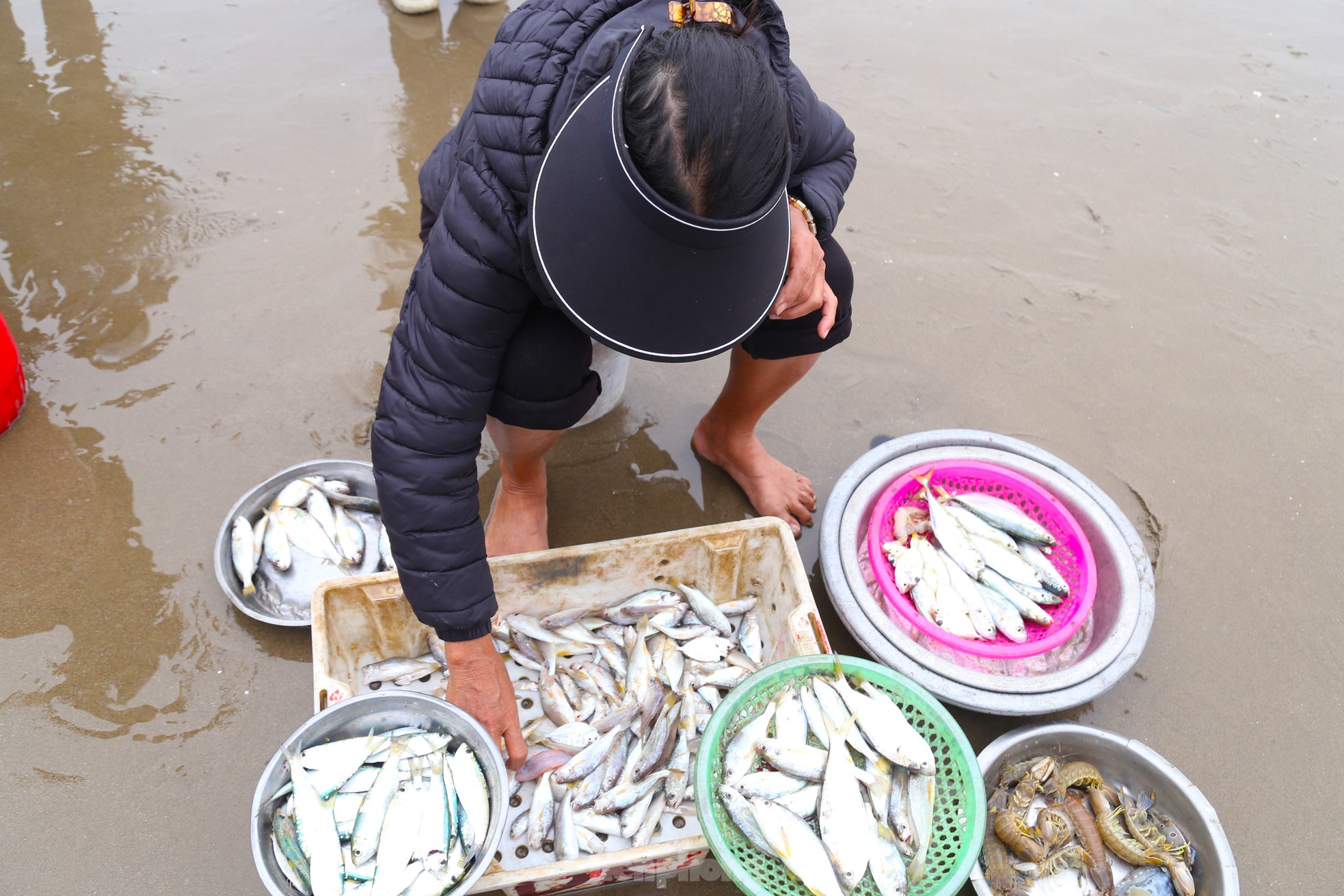 ទិដ្ឋភាព​លក់​អាហារ​សមុទ្រ​ដ៏​អ៊ូអរ​នៅ​ឆ្នេរ​ពេល​ព្រឹក​ព្រលឹម​រូបថត ៦