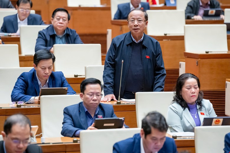 National Assembly Delegate Nguyen Van Than (National Assembly Delegation of Thai Binh Province) discusses. Photo: Quochoi.vn