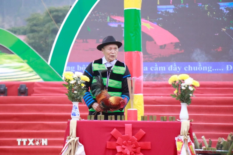 Emocionante Festival Gau Tao del pueblo Mong en las tierras altas de Tram Tau