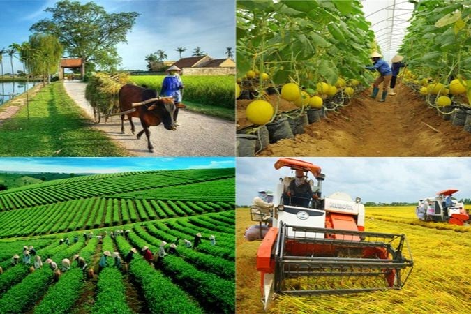 Agriculture sector must adapt to new demands from markets