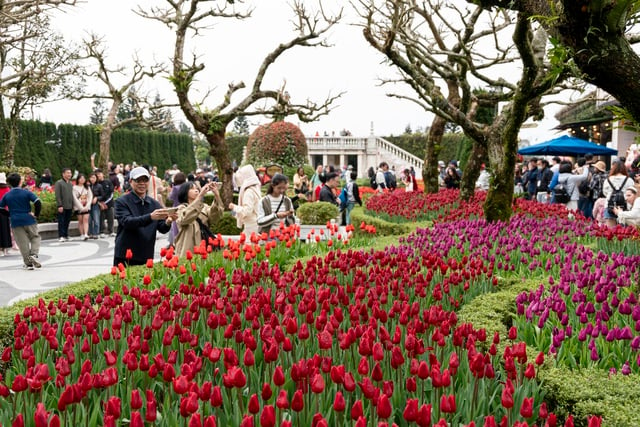 Sun World Ba Na Hills tourist area offers more than 60% discount for people in the Central and Central Highlands regions - Photo 1.