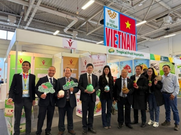 Förderung des Exports von vietnamesischem Obst und Gemüse auf den EU-Markt