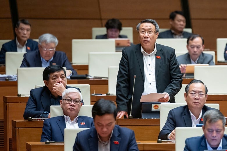 Delegate Ha Sy Dong participated in some contents of the draft Law on Organization of Local Government.