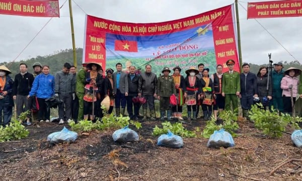 Luong Minh verändert sich