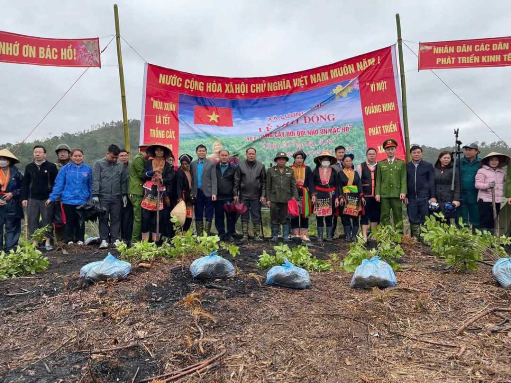 Officials, civil servants, employees and people of all ethnic groups in Luong Minh commune participated in planting 3,300 Lat Hoa trees at the launching ceremony of 