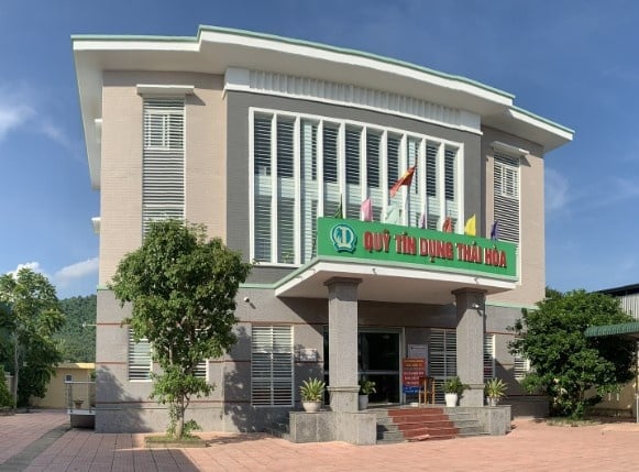 Inspectorate points out violations at Thai Hoa People's Credit Fund