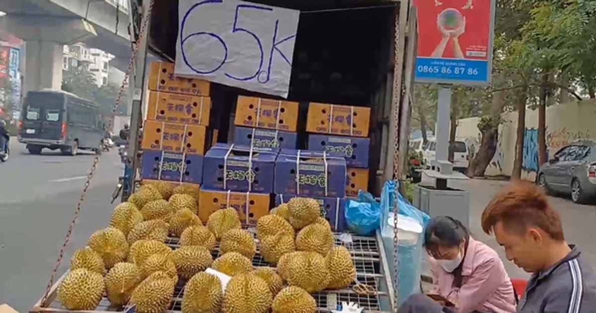 Durian prices drop sharply, gardeners worry about big losses