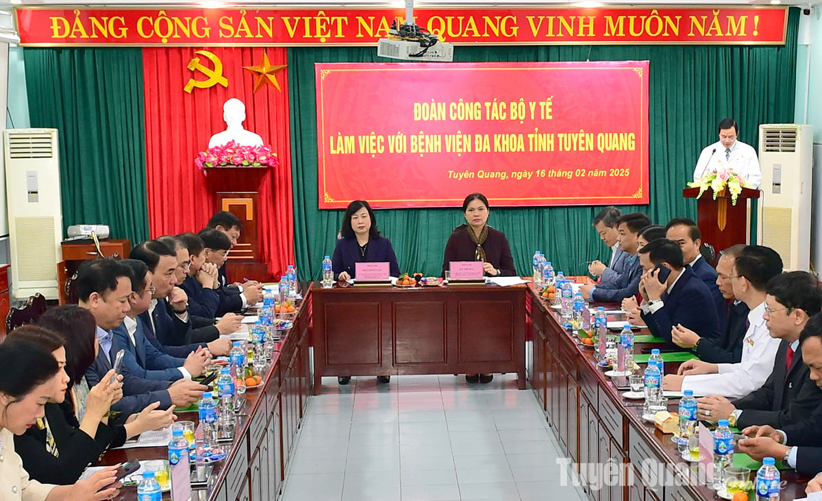 Delegation des Gesundheitsministeriums besucht und arbeitet in Tuyen Quang