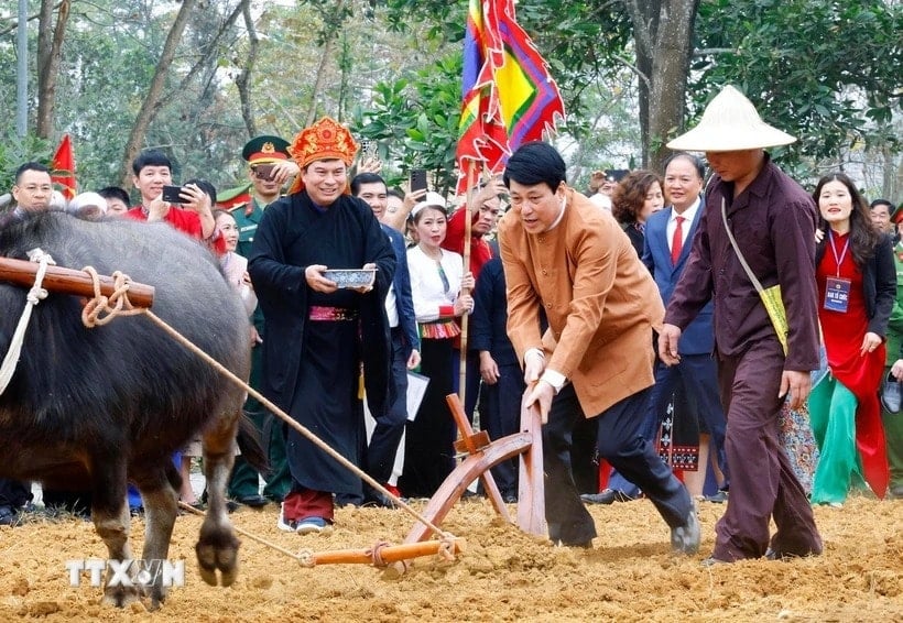 President Luong Cuong performs the first plowing ceremony during the Muong ethnic group's Going to the Fields Festival. (Photo: Lam Khanh/VNA)