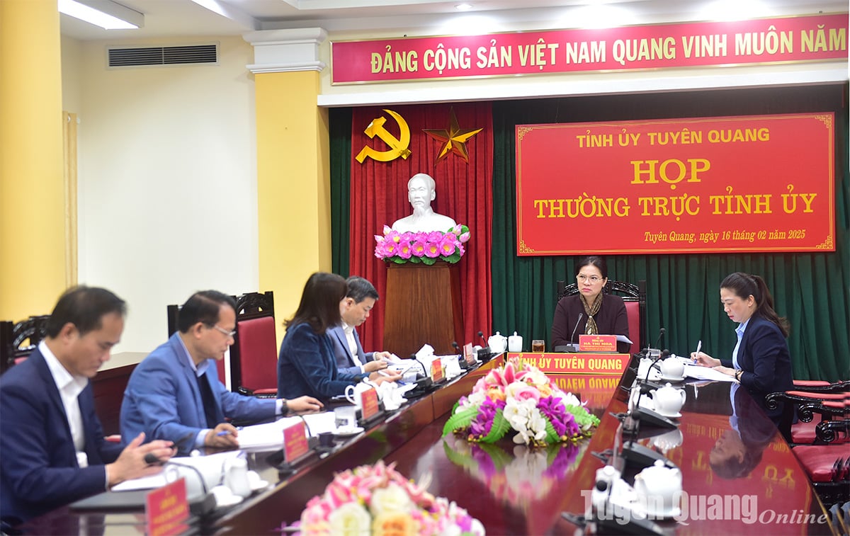 Thường trực Tỉnh ủy cho ý kiến về sắp xếp tổ chức, bộ máy một số cơ quan theo chủ trương tinh gọn bộ máy, tổ chức và kế hoạch đầu tư công 2025