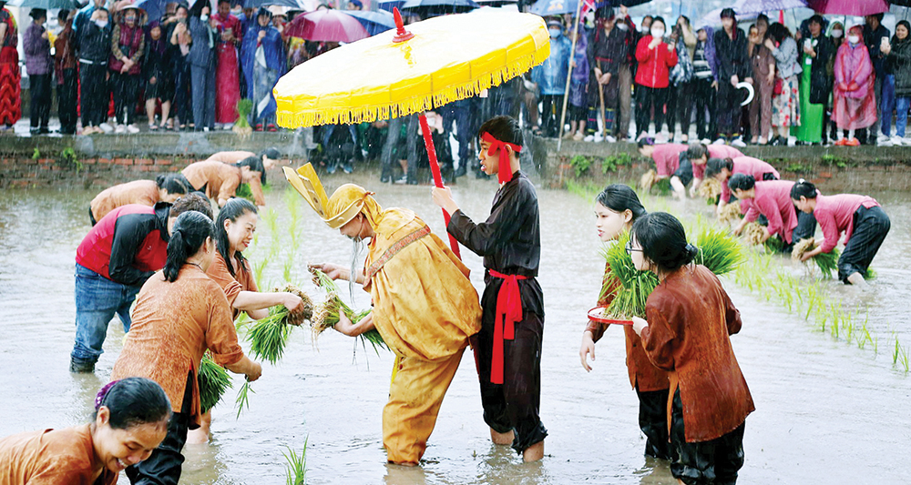 مهرجان الربيع الرائع للأرض الأجداد