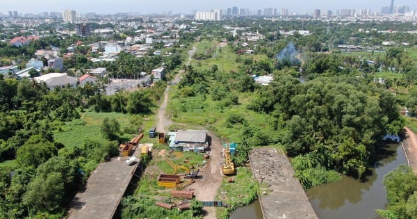 Proponen cambiar destino de más de 28.500 hectáreas de terreno