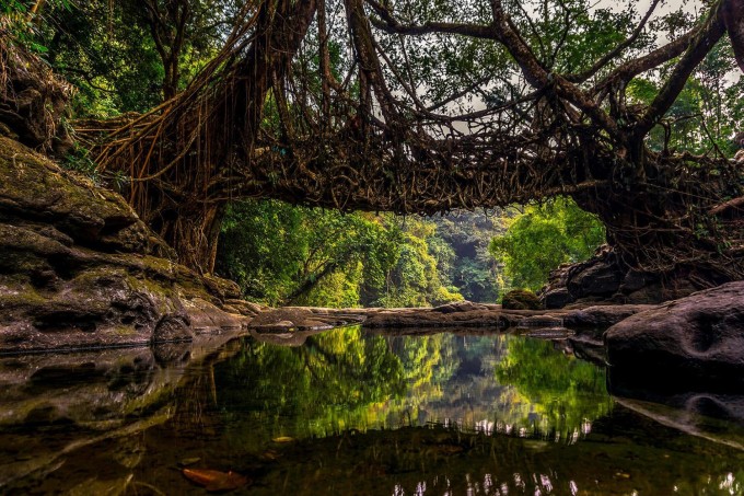 ទិសដៅក្រេបទឹកឃ្មុំនៅប្រទេសឥណ្ឌា