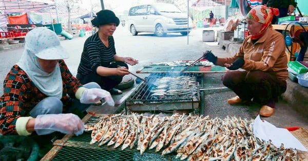 Besuchen Sie Nghe An im Frühling und essen Sie duftenden, auf Holzkohle gegrillten Hering