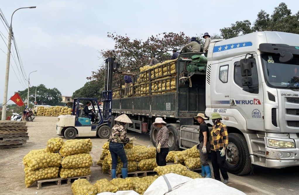 Orion Food Company Limited, l'unité affiliée à l'achat de pommes de terre de l'Atlantique, dispose toujours d'un moyen d'achat sur le terrain pour les gens.