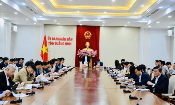 Provincial People's Committee meets to discuss solutions to remove difficulties for coal industry units