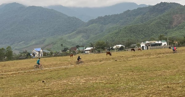 A Sầu thay da đổi thịt