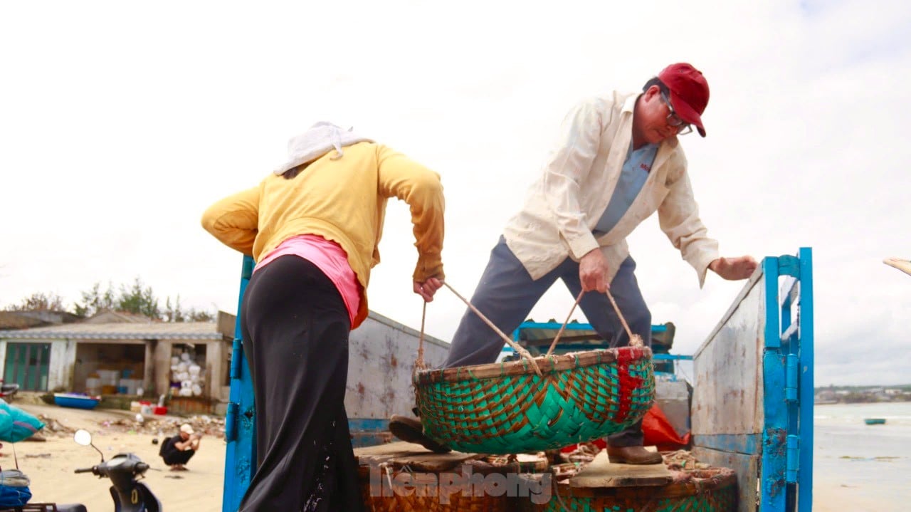 Les pêcheurs de Quang Ngai ont une récolte abondante de crevettes de mer, « gagnant bien » des millions de dongs chaque jour. Photo 20