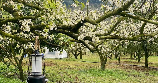 La gente acude en masa al festival de primavera a principios de año.