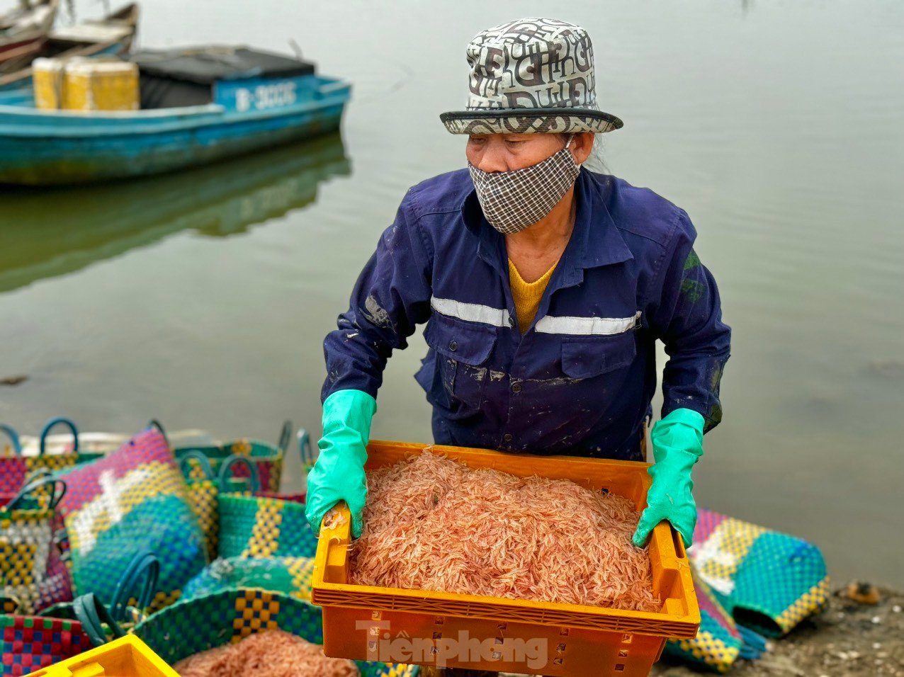 Les pêcheurs de Quang Ngai ont une récolte abondante de crevettes de mer, « gagnant bien » des millions de dongs chaque jour. Photo 21