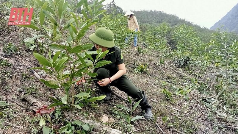 Применение науки и техники в селекции растений