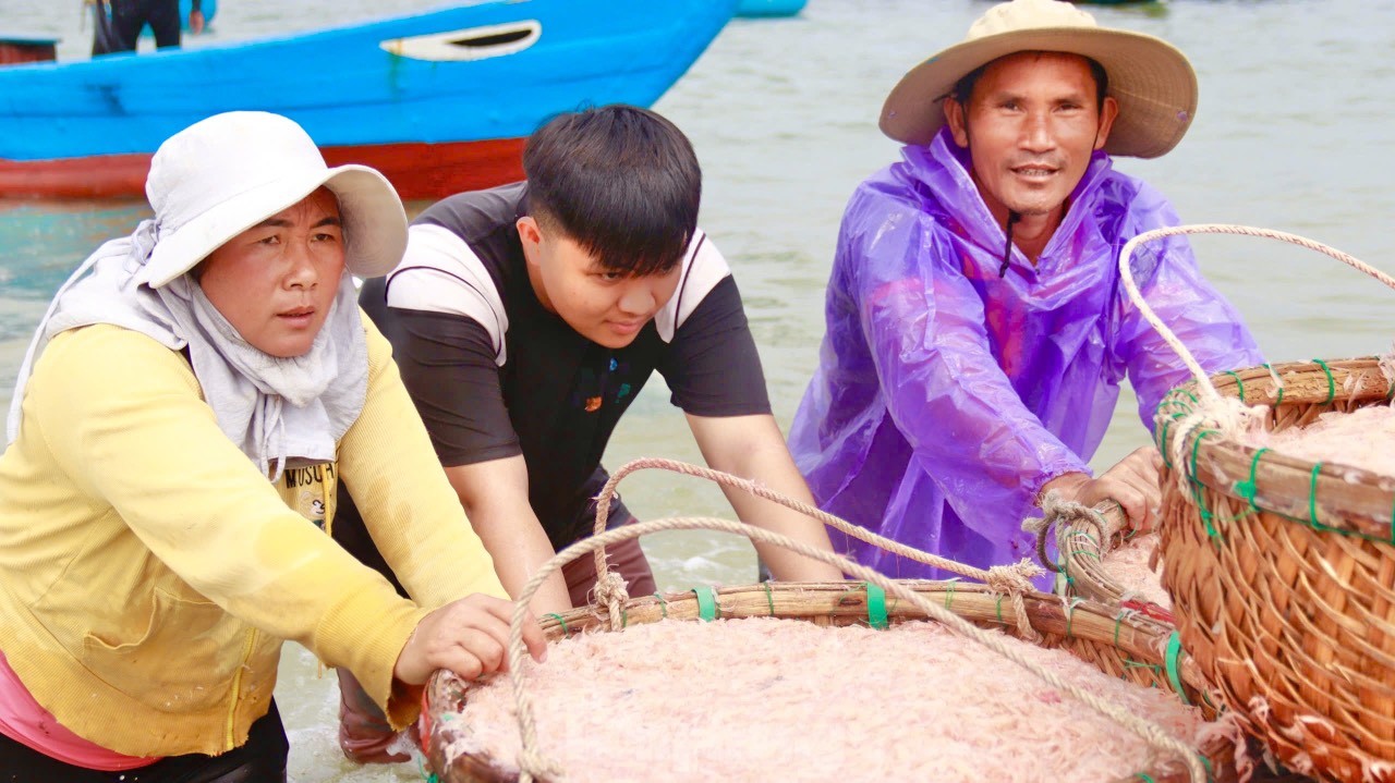 Les pêcheurs de Quang Ngai ont une récolte abondante de crevettes de mer, « gagnant bien » des millions de dongs chaque jour. Photo 8