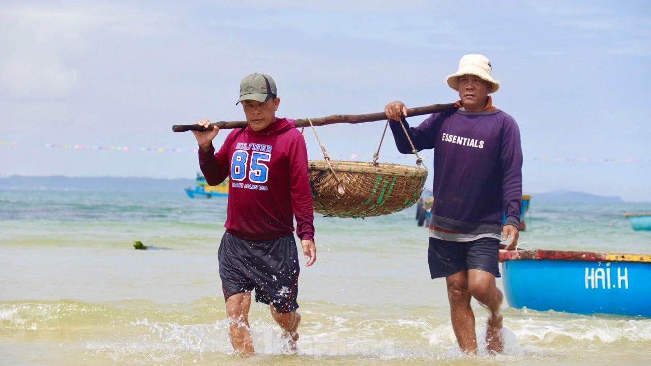 Les pêcheurs de Quang Ngai ont une récolte abondante de crevettes de mer, « gagnant bien » des millions de dongs chaque jour. Photo 24