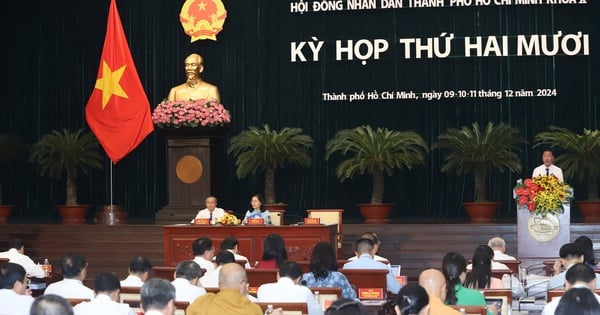 El Comité Permanente del Consejo Popular de Ciudad Ho Chi Minh convocó una reunión temática para discutir la disposición de los aparatos y el personal.