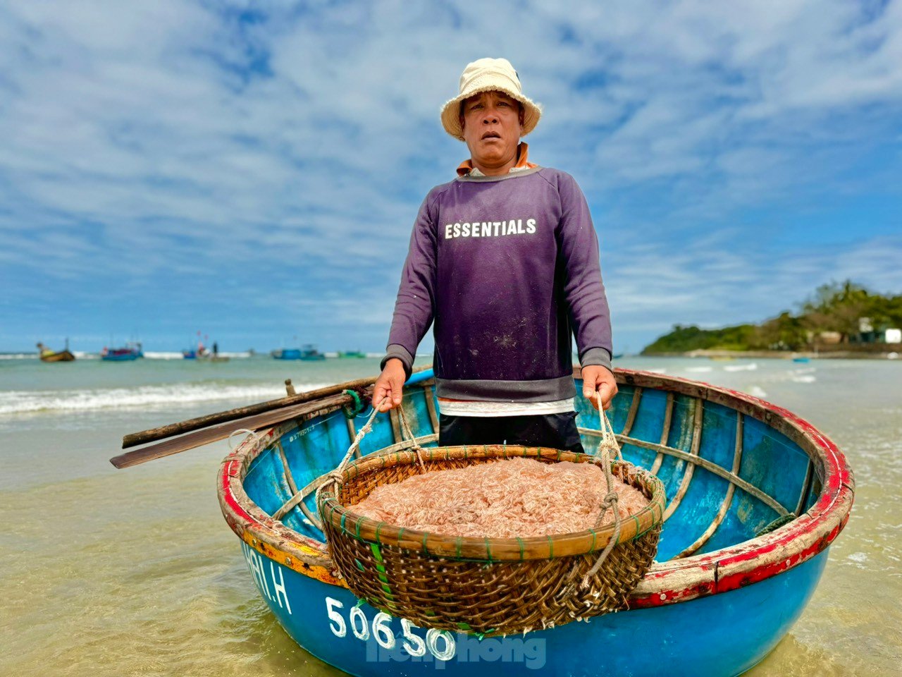 Les pêcheurs de Quang Ngai ont une récolte abondante de crevettes de mer, « gagnant bien » des millions de dongs chaque jour. Photo 16