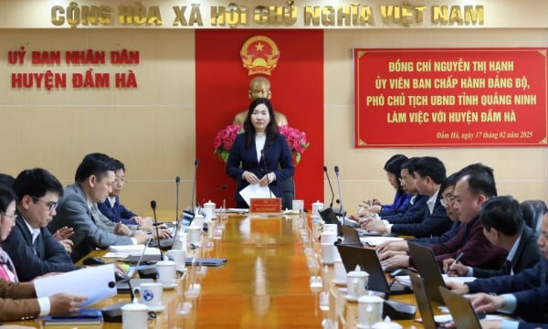 Vice Chairwoman of the Provincial People's Committee Nguyen Thi Hanh works with Dam Ha district