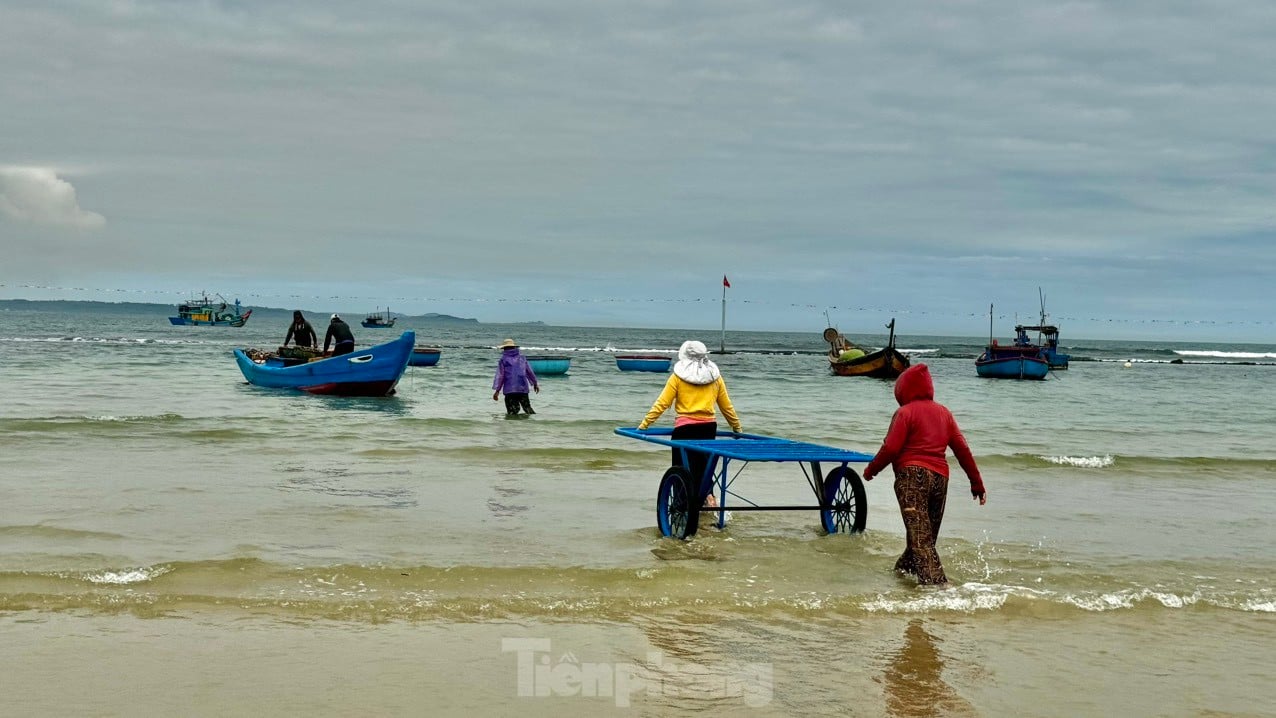 Les pêcheurs de Quang Ngai ont une récolte abondante de crevettes de mer, « gagnant bien » des millions de dongs chaque jour. Photo 4