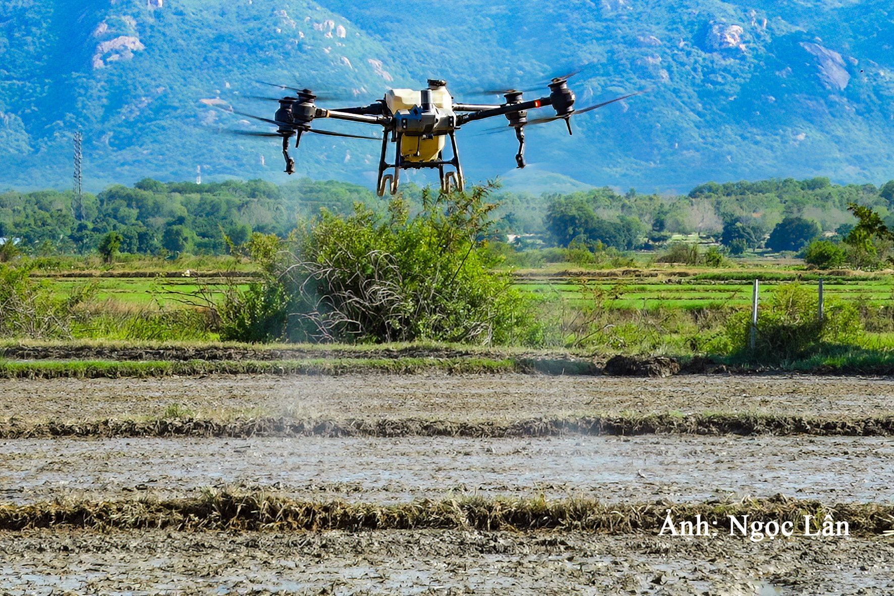 畑に傷をつけない新技術による米生産 写真 n.-lan-2-.jpg