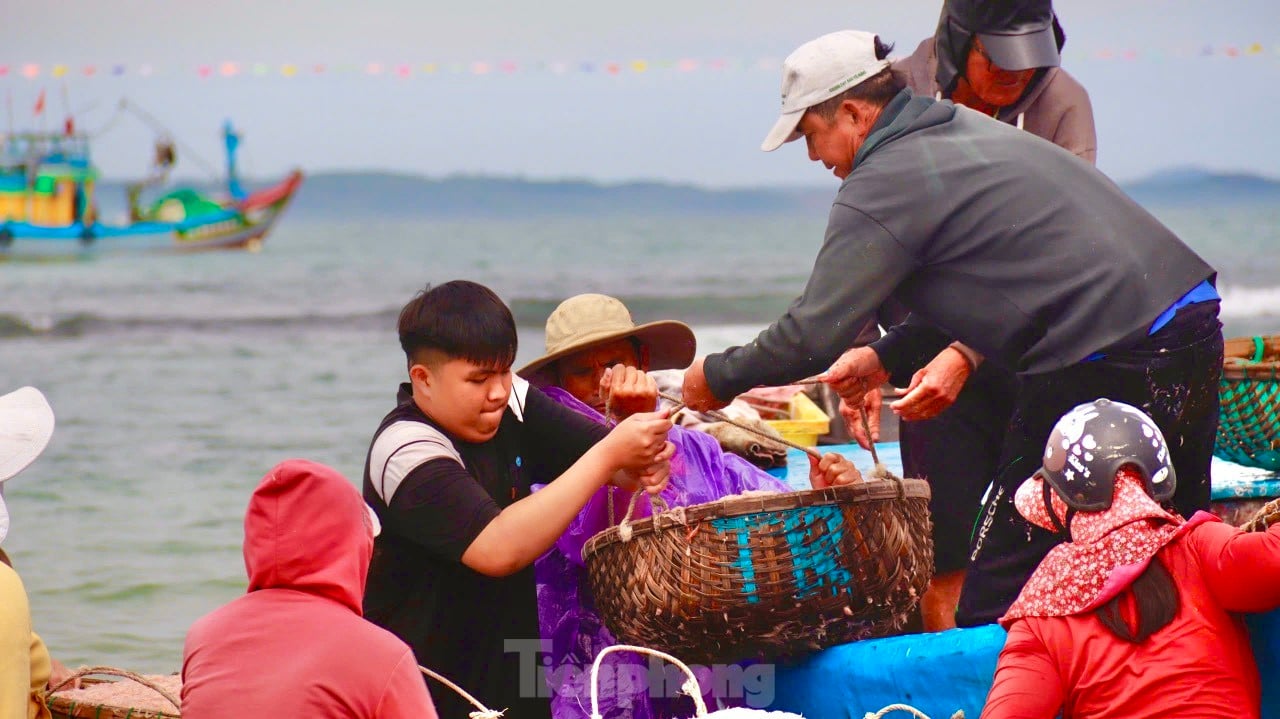 Les pêcheurs de Quang Ngai ont une récolte abondante de crevettes de mer, « gagnant bien » des millions de dongs chaque jour. Photo 6