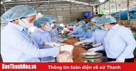 La ville de Nghi Son s'efforce de créer 180 ou plus de nouvelles entreprises