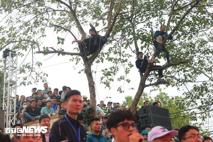 The slow people had to jostle in another corner to watch the wrestling matches.