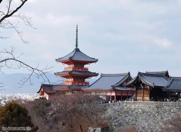 일본 경제는 꾸준히 성장하고 있으며 순수출은 중요한 원동력입니다.