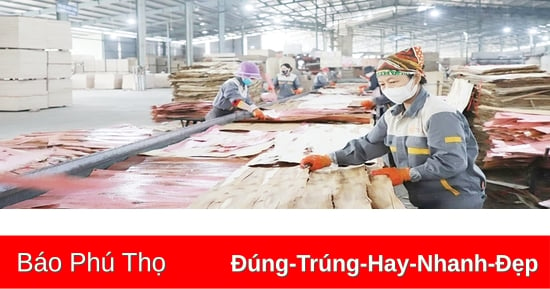 Hạ Hòa thu hút nguồn lực cho đầu tư phát triển