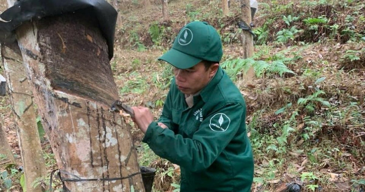 El “árbol de iniciativas” mejora la calidad de vida de los trabajadores