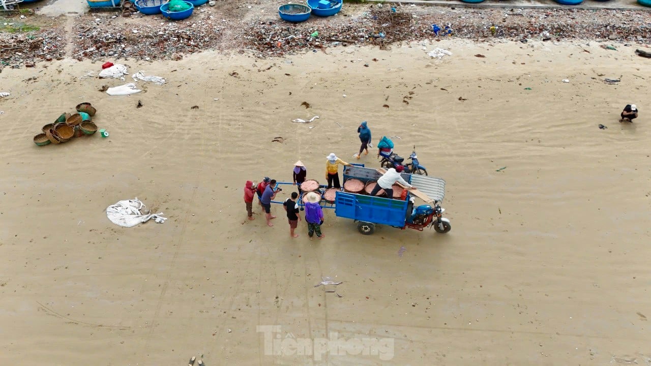 Les pêcheurs de Quang Ngai ont une récolte abondante de crevettes de mer, « gagnant bien » des millions de dongs chaque jour. Photo 26