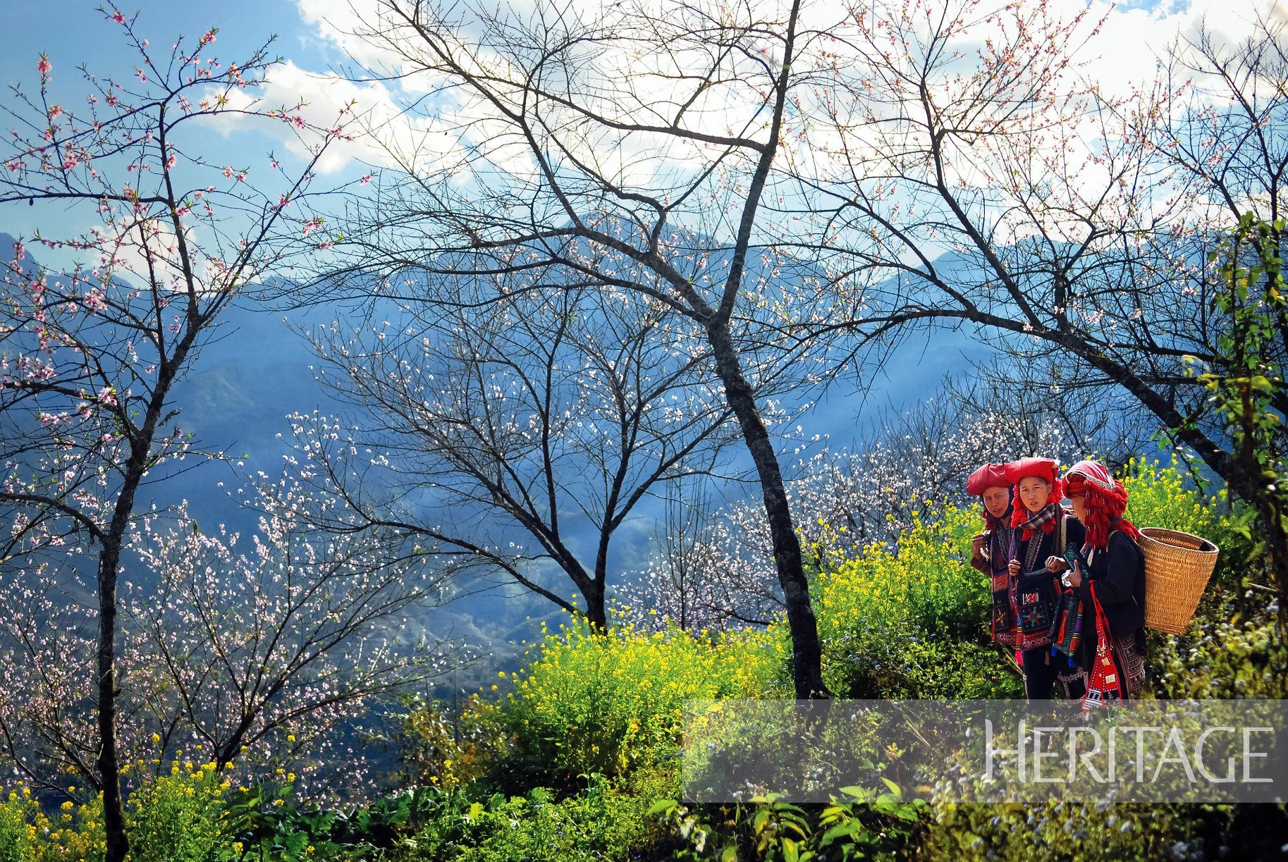 北西部の山々の春の紅葉